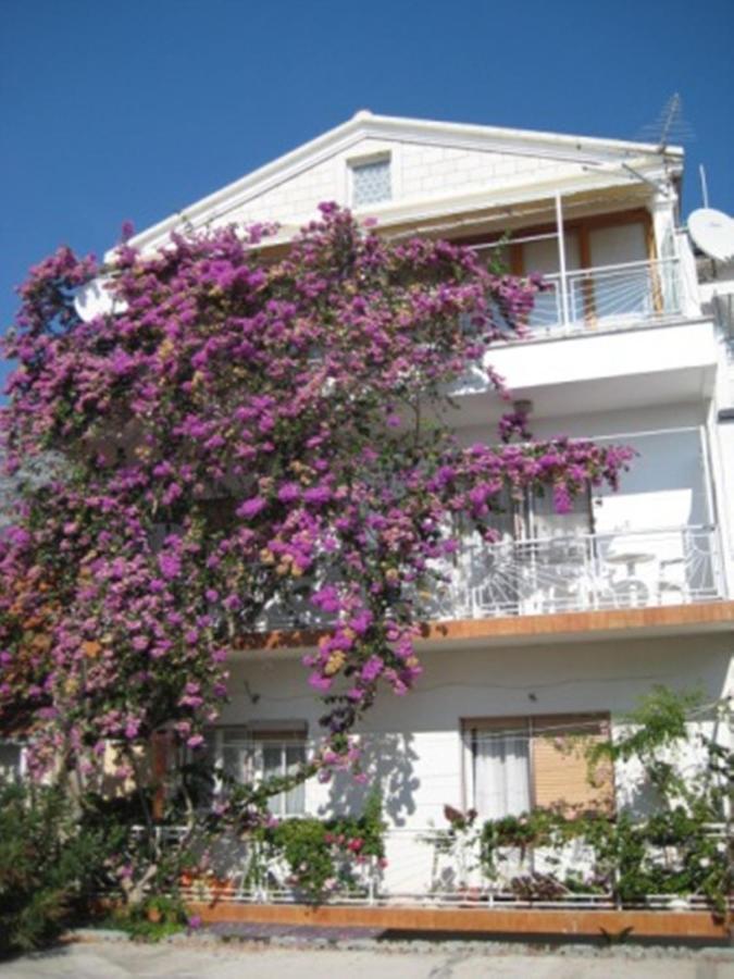 Apartman Graciela Perfect Location Gradac Gradac  Exterior photo